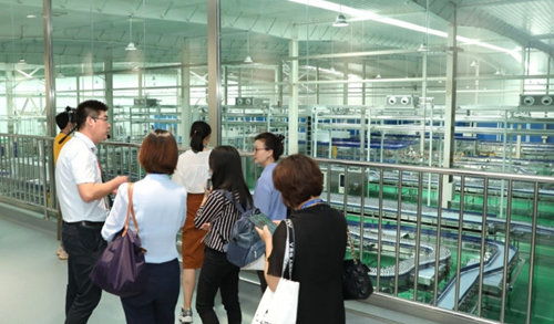 元氣森林天津工廠正式投產，產能釋放助力北方市場布局，帶動教育咨詢服務需求