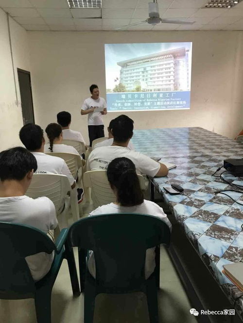 傳承匠心，智創未來 尼日利亞工廠在轉型中創新發展的主題教育實踐