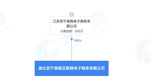 蘇寧易購在武漢成立電商公司,注冊資本500萬元